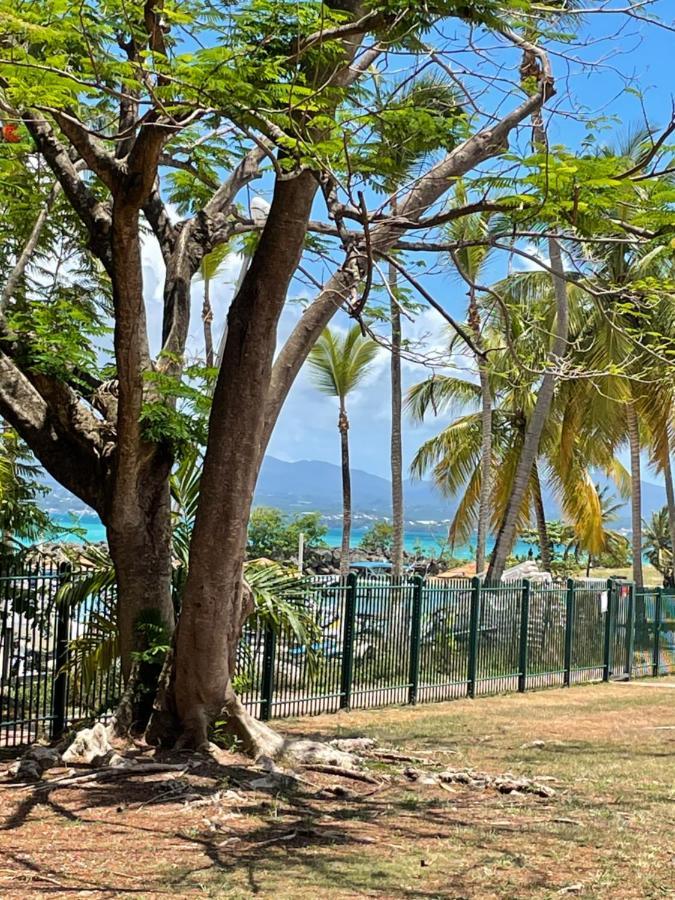 Cauris Lodge Du Marisol Vue Mer Acces Direct Plage Le Gosier  Exterior foto